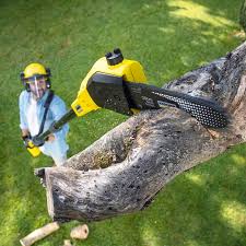 Best Firewood Processing and Delivery  in Riverview, SC